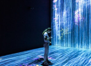 AI project showcase